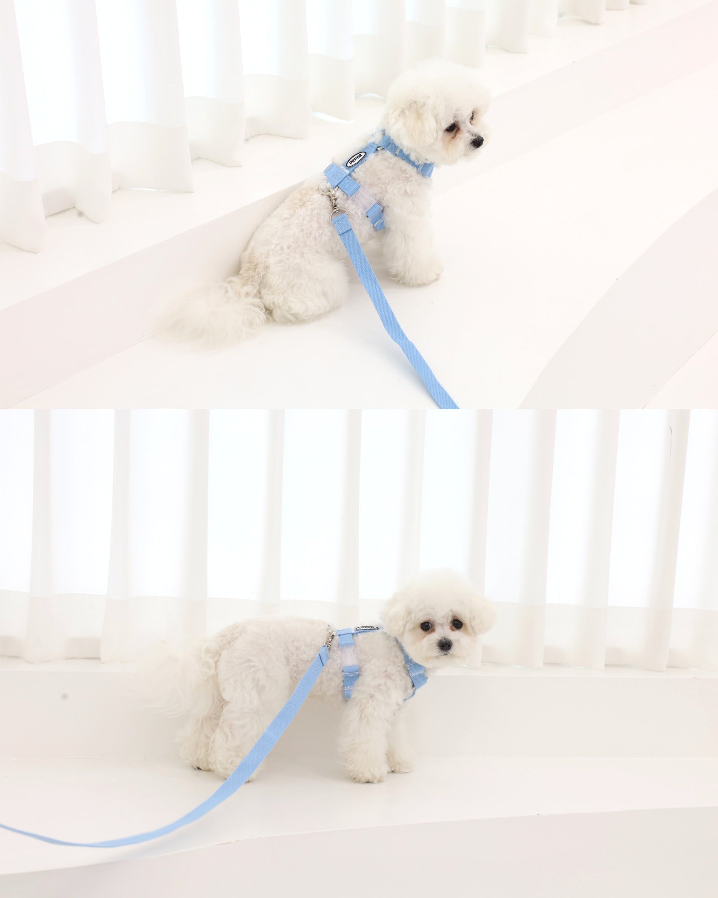 Color On H Harness – 8 Colors