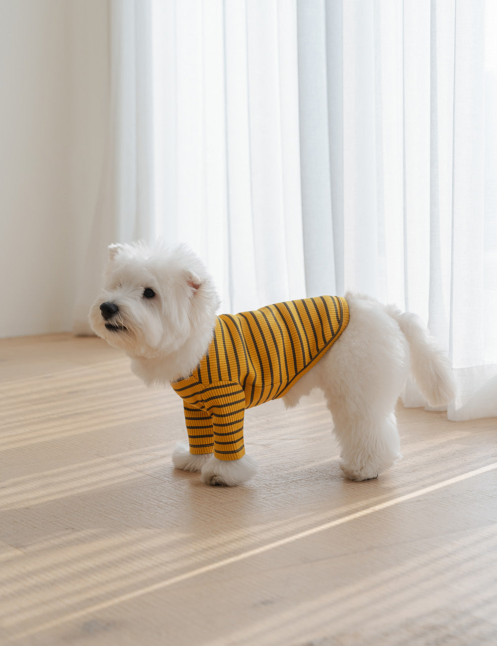 Palette Stripe T-Shirt 3 Colors