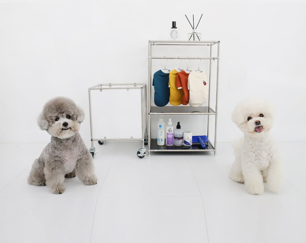 Modular Pet Box – 4 Colors