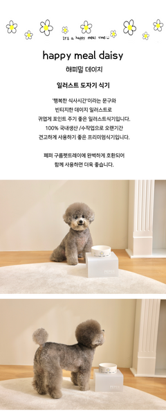 일러스트 도자기Dish- [해피밀 데이지]
