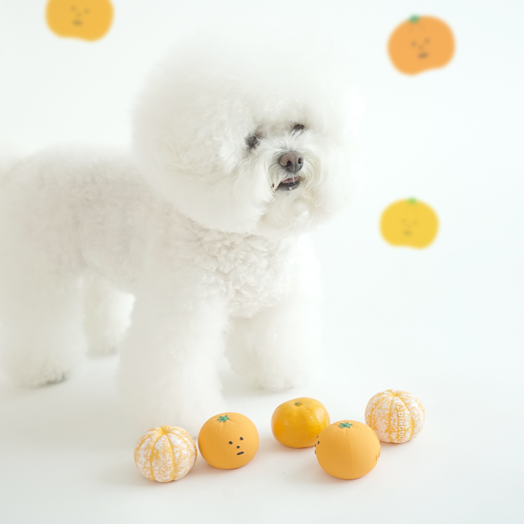 Dingdog Tangerine Ball Latex Toy 5