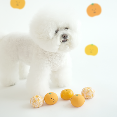 Dingdog Tangerine Ball Latex Toy 5