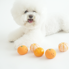 Dingdog Tangerine Ball Latex Toy 4