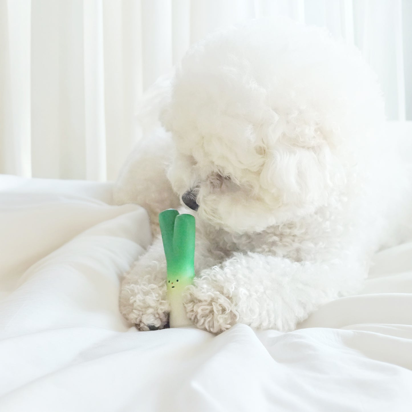 Dingdog Green Onion Latex Toy 1
