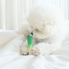 Dingdog Green Onion Latex Toy 1