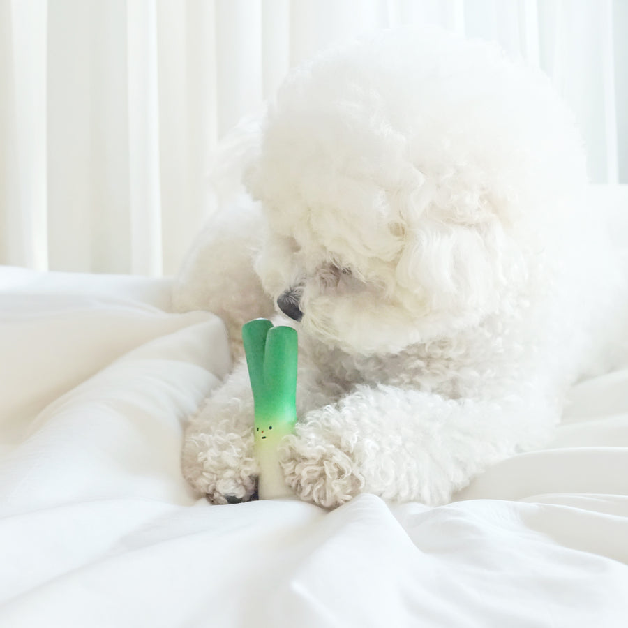 Dingdog Green Onion Latex Toy 1