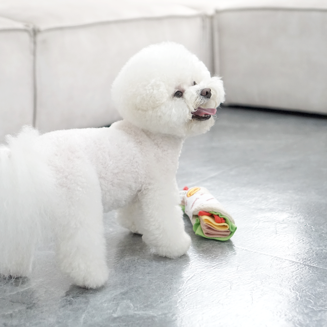 Dingdog Tortilla 3
