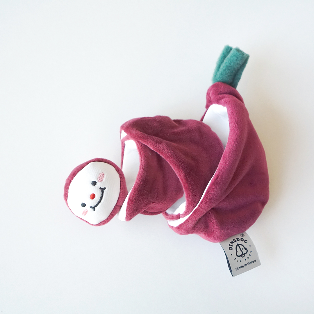 Dingdog Red Onion 1
