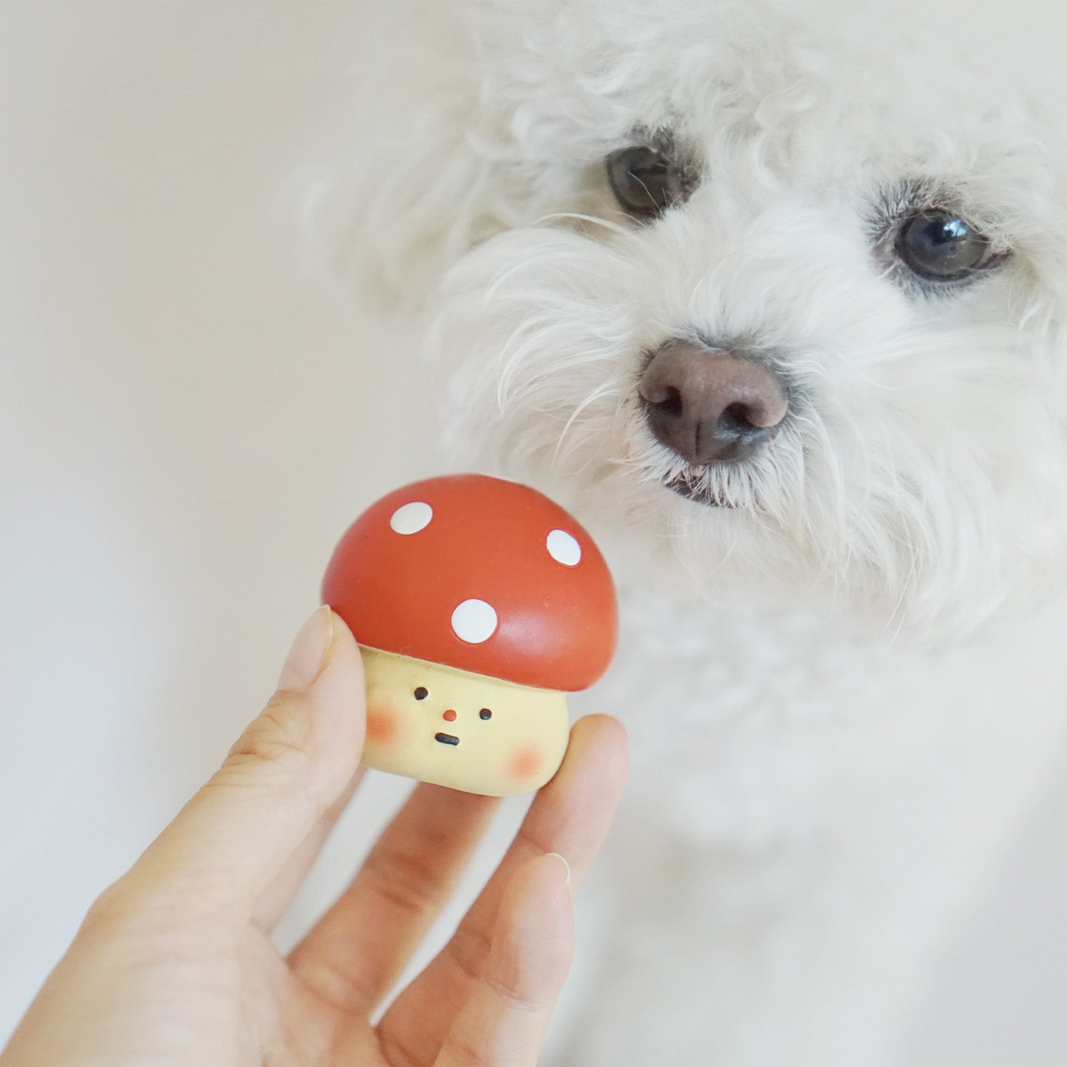 Dingdog Mushroom Latex Toy 1