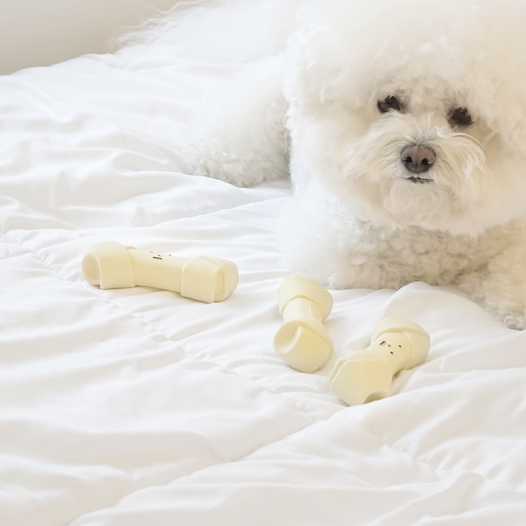 Dingdog Bone Latex Toy 1