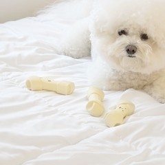Dingdog Bone Latex Toy 1