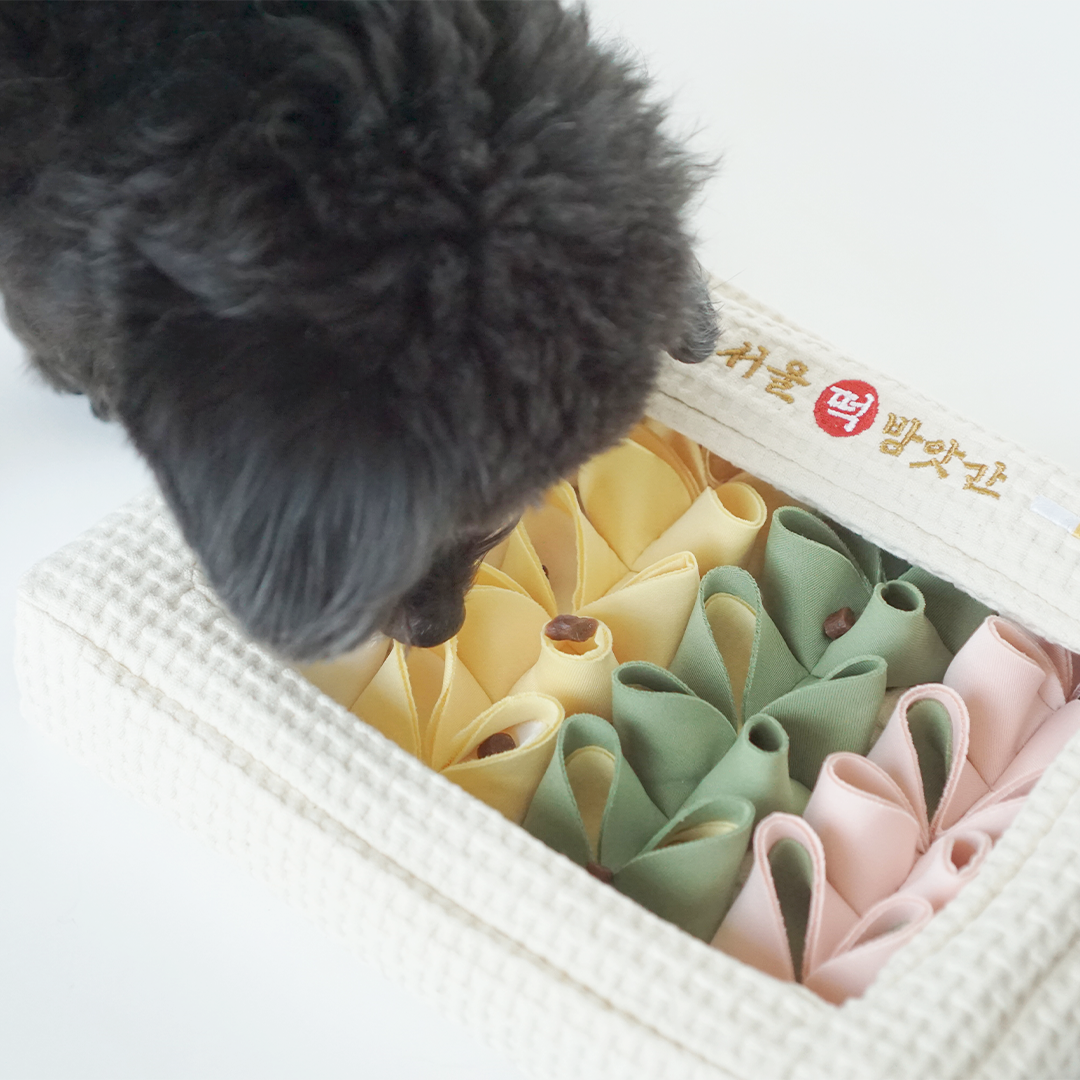 Dingdog Rice Cake Set 2