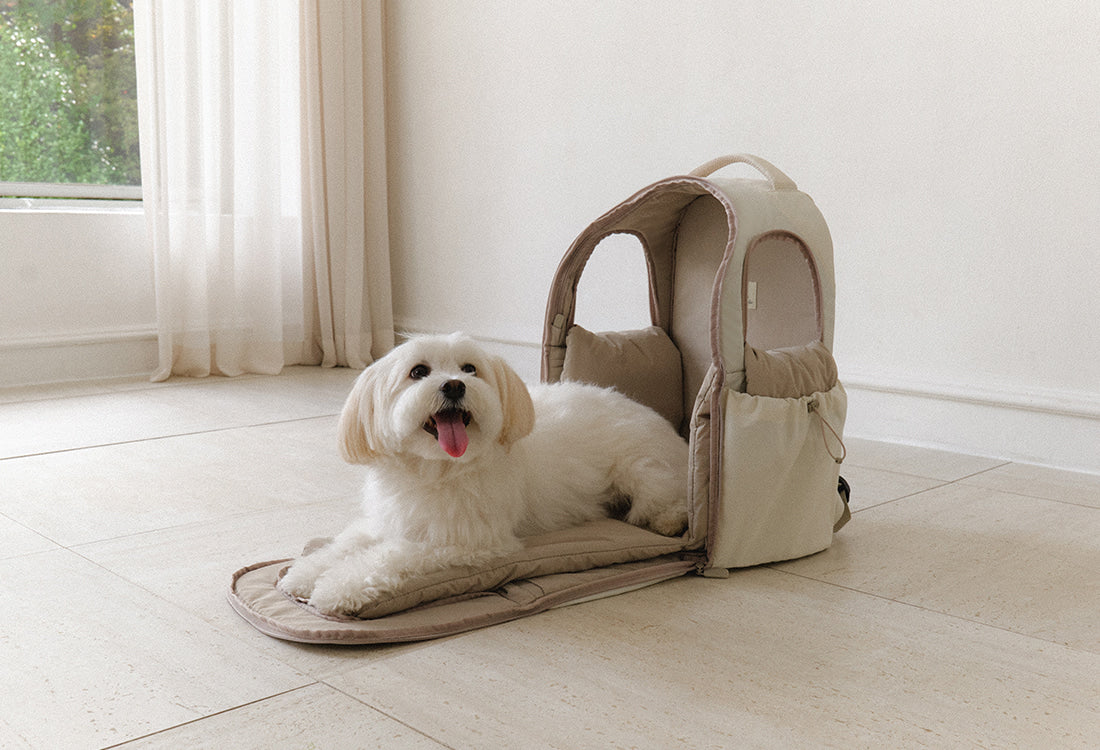 T-Core Backpack 2 Colors