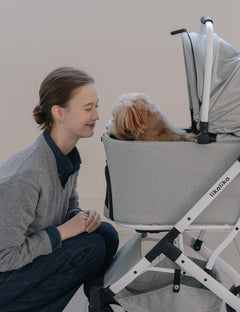 DuoFlex Detachable Stroller 2 Colors