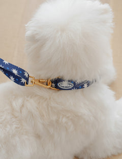 Star Pop Dot Collar 2 Colors