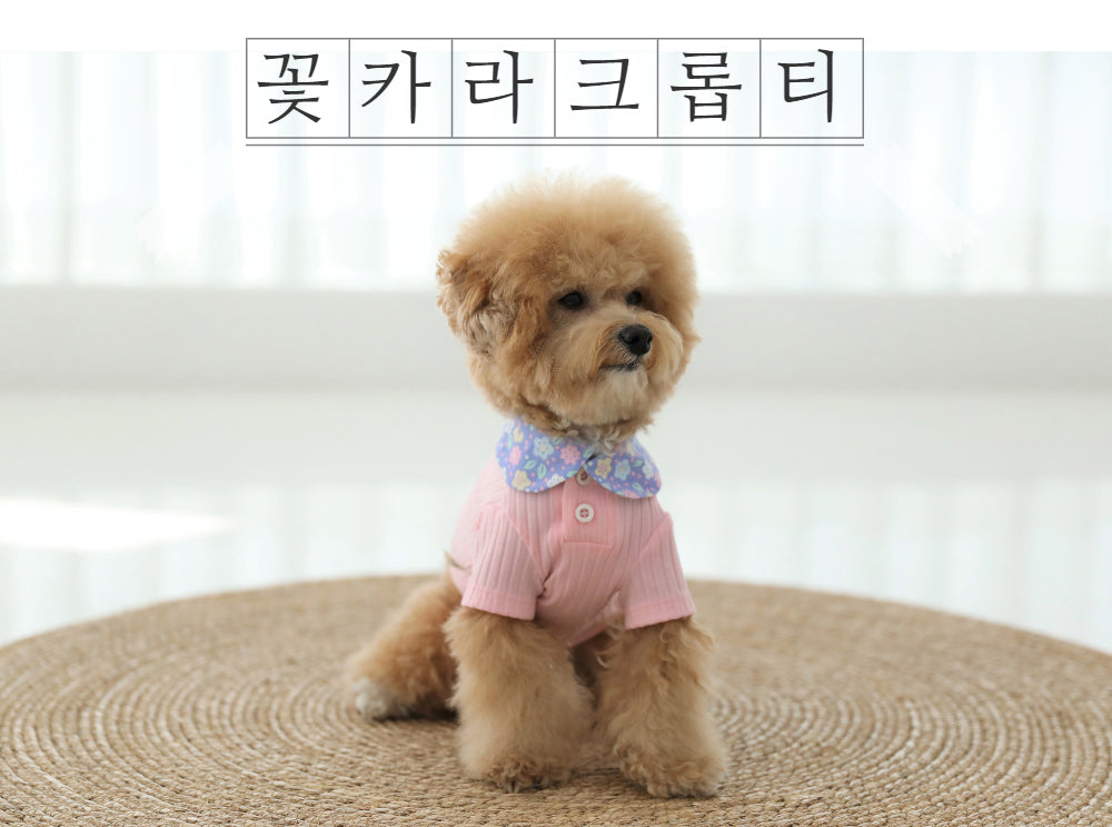 꽃카라 크롭티 [Pink]