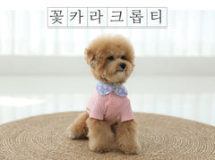 꽃카라 크롭티 [Pink]