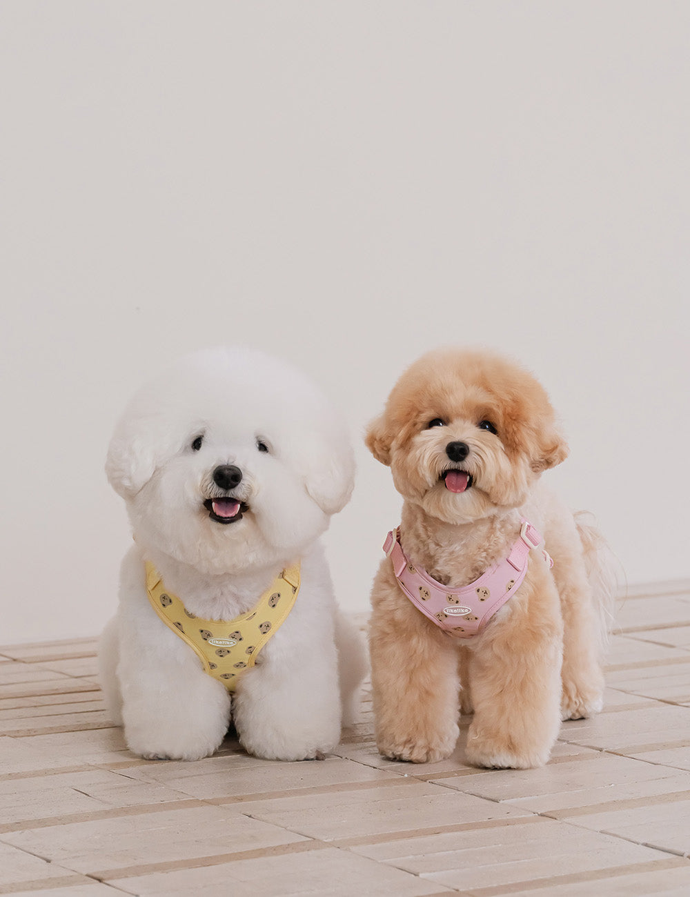 Bear Bebe Harness X-Type 3 Colors