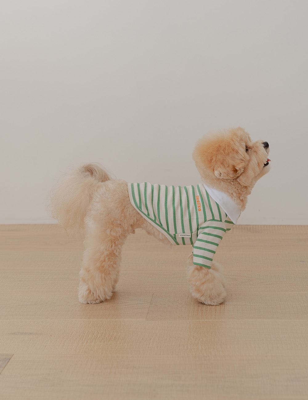 Preppy Collar T-Shirt 2 Colors