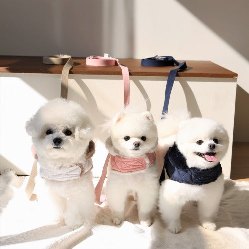 NEW 멀티 Leash 2.5M (3 Colors)