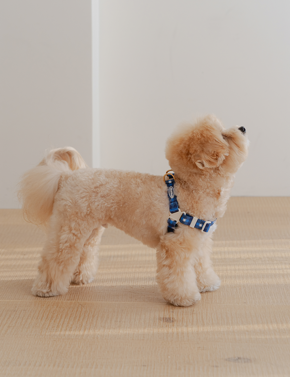 Stella Check Harness L-Type 2 Colors
