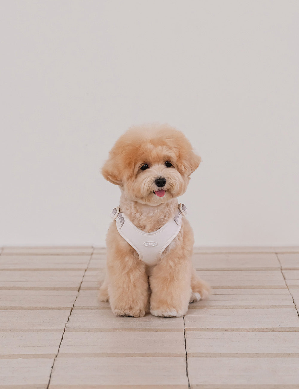 Breeze Walk Harness X-Type 3 Colors