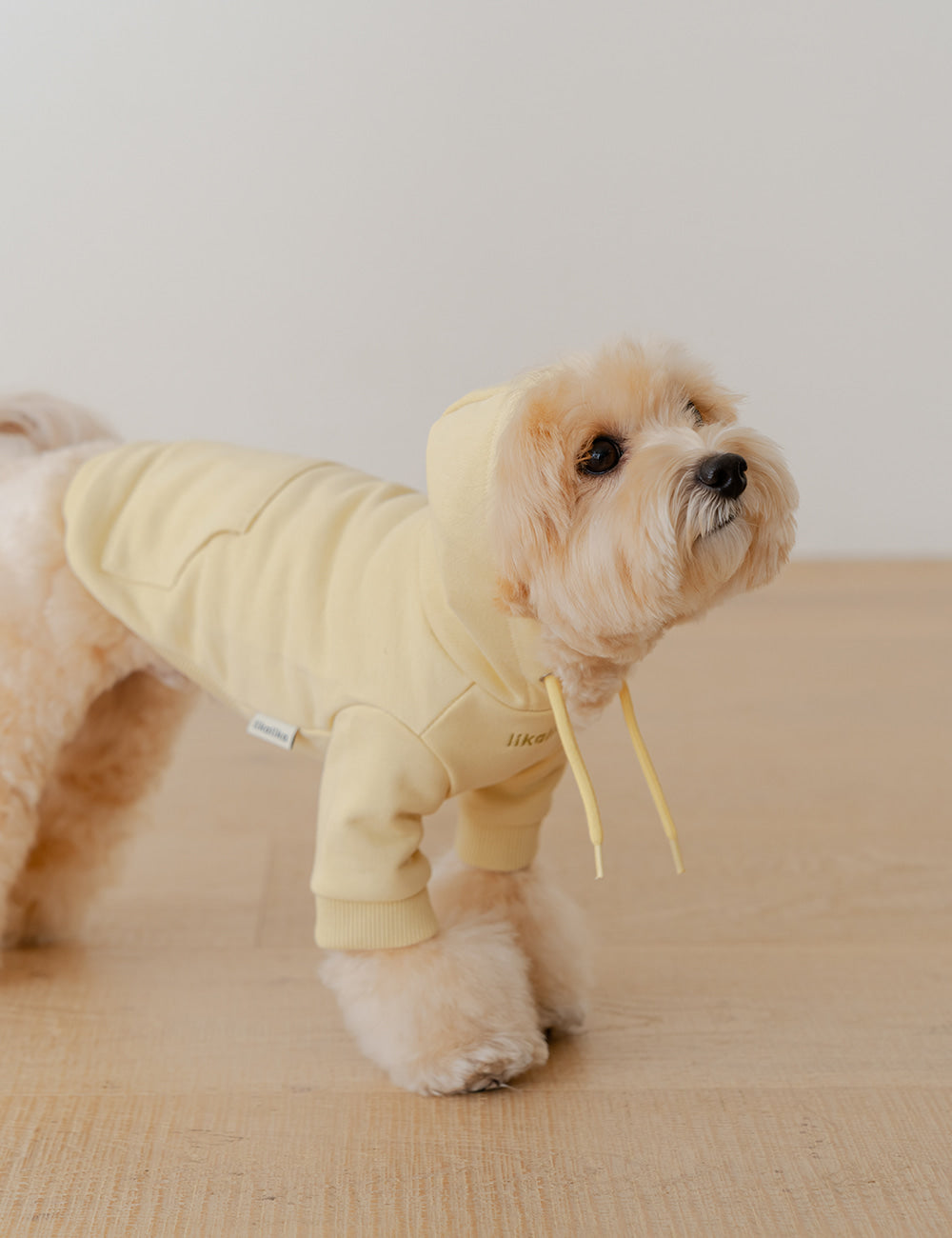 Mellow Hoodie T-Shirt 2 Colors