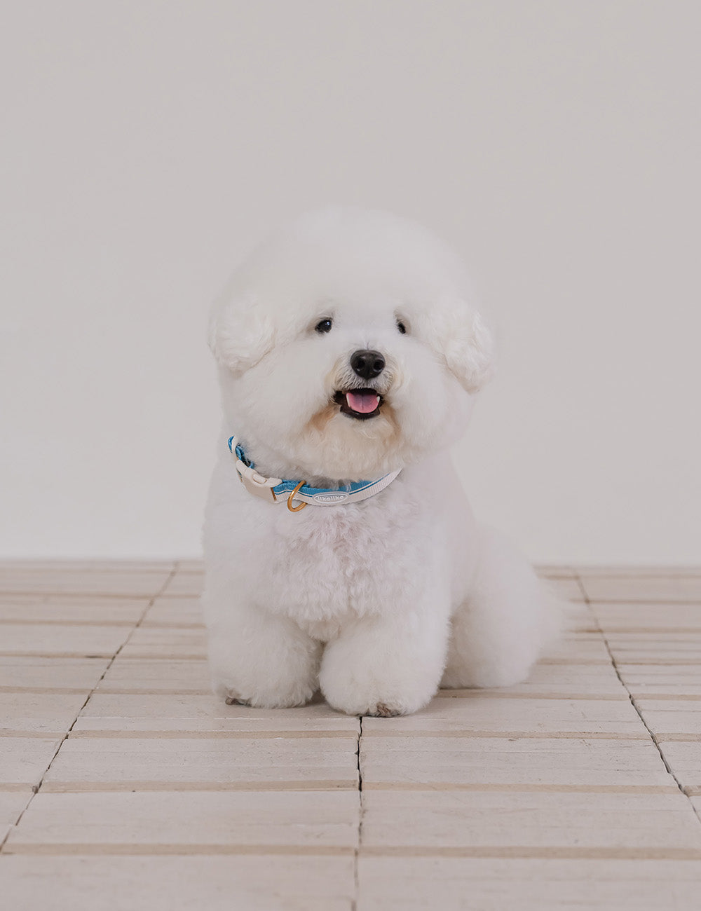 Breeze Walk Collar 3 Colors