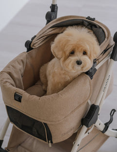 All Day Light All-in-One Stroller 2nd Gen Add-On Option
