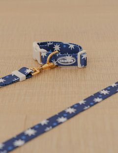 Star Pop Dot Collar 2 Colors