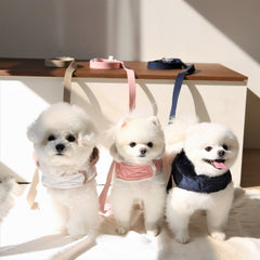 NEW 멀티 Leash 2.5M (3 Colors)