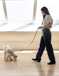 Poop Bag Pouch 4 Colors