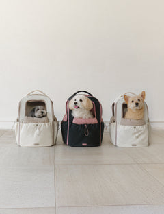 T-Core Backpack 2 Colors