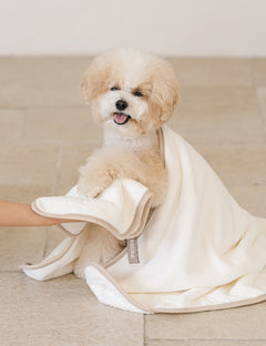 Hug Me Pet Towel 2Size (S/M)