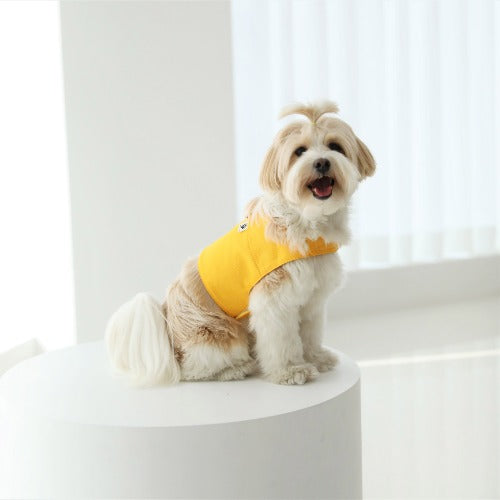 마카롱 Harness [바나나Yellow]