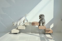 고스트 펫 Step 3단 - 4 Colors