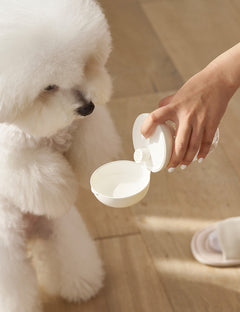 Portable One-Touch Walking Water Bottle 3 Colors