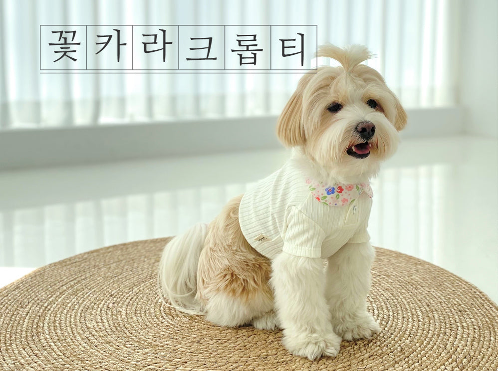 꽃카라 크롭티 [Ivory]