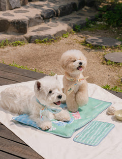 Snooze Cool Mat 2Size (S/L)