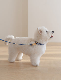 Stella Check Collar 2 Colors