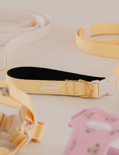 Bear Bebe Hands-Free Leash 3 Colors