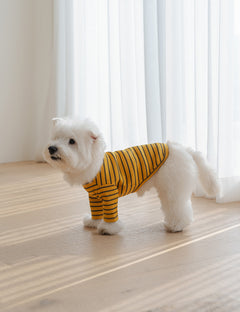 Palette Stripe T-Shirt 3 Colors