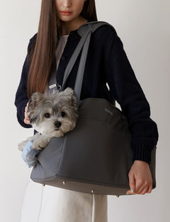Cushion Bag Carrier Bag Add-On Option Cushion And More