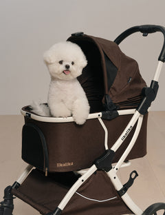 All Day Plus All-in-One Stroller 2 Colors