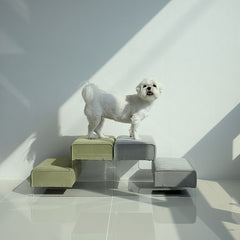 고스트 펫 Step 2단 - 4 Colors