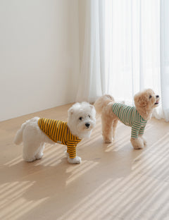 Palette Stripe T-Shirt 3 Colors