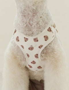 Bear Bebe Harness X-Type 2 Colors