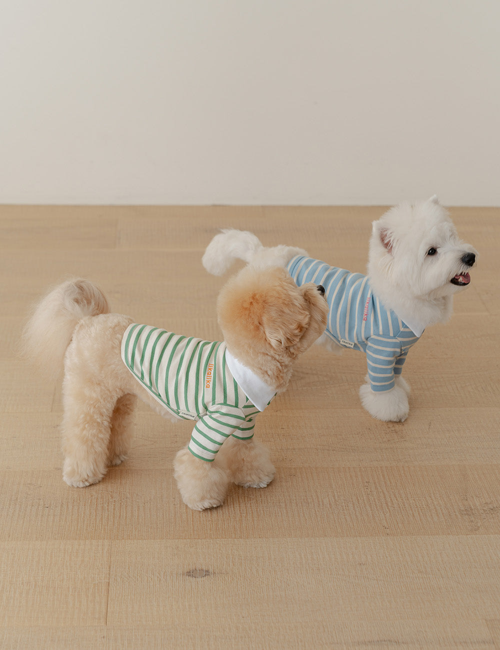 Preppy Collar T-Shirt 2 Colors