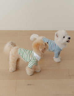 Preppy Collar T-Shirt 2 Colors
