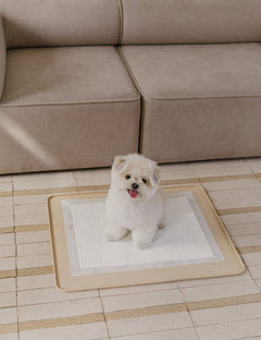 Non-Slip Silicone Potty Mat (Standard / Large)